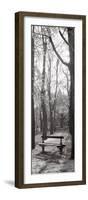 Jardin du Luxembourg Banc-Alan Blaustein-Framed Photographic Print