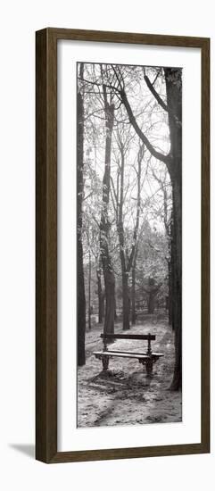 Jardin du Luxembourg Banc-Alan Blaustein-Framed Photographic Print