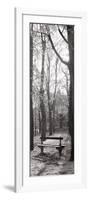 Jardin du Luxembourg Banc-Alan Blaustein-Framed Photographic Print