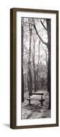 Jardin du Luxembourg Banc-Alan Blaustein-Framed Photographic Print