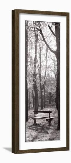 Jardin du Luxembourg Banc-Alan Blaustein-Framed Photographic Print