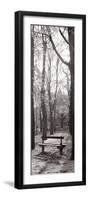 Jardin du Luxembourg Banc-Alan Blaustein-Framed Photographic Print