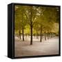 Jardin Du Luxembourg, Latin Quarter, Paris, France-Jon Arnold-Framed Stretched Canvas