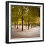 Jardin Du Luxembourg, Latin Quarter, Paris, France-Jon Arnold-Framed Photographic Print