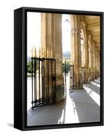 Jardin du Palais Royal, Royal Palace Garden, Paris, France-Michele Molinari-Framed Stretched Canvas