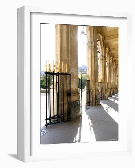 Jardin du Palais Royal, Royal Palace Garden, Paris, France-Michele Molinari-Framed Photographic Print