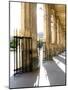 Jardin du Palais Royal, Royal Palace Garden, Paris, France-Michele Molinari-Mounted Photographic Print