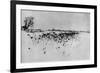 Jardin enneigé "Marsh Leaves"-Peter Henry Emerson-Framed Giclee Print