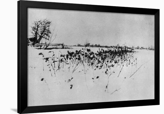 Jardin enneigé "Marsh Leaves"-Peter Henry Emerson-Framed Giclee Print