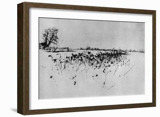 Jardin enneigé "Marsh Leaves"-Peter Henry Emerson-Framed Giclee Print