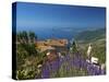 Jardin Exotique in Eze, Cote D´Azur, Alpes-Maritimes, Provence-Alpes-Cote D'Azur, France-Katja Kreder-Stretched Canvas