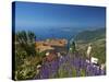 Jardin Exotique in Eze, Cote D´Azur, Alpes-Maritimes, Provence-Alpes-Cote D'Azur, France-Katja Kreder-Stretched Canvas