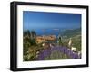 Jardin Exotique in Eze, Cote D´Azur, Alpes-Maritimes, Provence-Alpes-Cote D'Azur, France-Katja Kreder-Framed Photographic Print