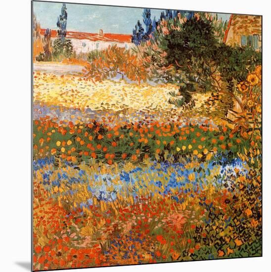 Jardin fleuri a Arles (Détail)-Vincent van Gogh-Mounted Art Print