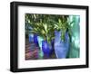 Jardin Majorelle and Museum of Islamic Art, Villa Pottery, Marrakech, Morocco-Walter Bibikow-Framed Photographic Print