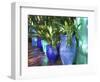 Jardin Majorelle and Museum of Islamic Art, Villa Pottery, Marrakech, Morocco-Walter Bibikow-Framed Photographic Print