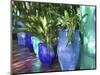 Jardin Majorelle and Museum of Islamic Art, Villa Pottery, Marrakech, Morocco-Walter Bibikow-Mounted Photographic Print