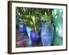 Jardin Majorelle and Museum of Islamic Art, Villa Pottery, Marrakech, Morocco-Walter Bibikow-Framed Photographic Print