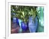 Jardin Majorelle and Museum of Islamic Art, Villa Pottery, Marrakech, Morocco-Walter Bibikow-Framed Photographic Print