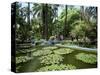 Jardin Majorelle, Marrakech (Marrakesh), Morocco, North Africa, Africa-Simon Harris-Stretched Canvas