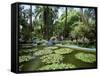 Jardin Majorelle, Marrakech (Marrakesh), Morocco, North Africa, Africa-Simon Harris-Framed Stretched Canvas