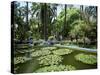 Jardin Majorelle, Marrakech (Marrakesh), Morocco, North Africa, Africa-Simon Harris-Stretched Canvas