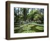 Jardin Majorelle, Marrakech (Marrakesh), Morocco, North Africa, Africa-Simon Harris-Framed Photographic Print