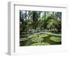 Jardin Majorelle, Marrakech (Marrakesh), Morocco, North Africa, Africa-Simon Harris-Framed Photographic Print