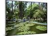 Jardin Majorelle, Marrakech (Marrakesh), Morocco, North Africa, Africa-Simon Harris-Mounted Photographic Print