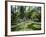 Jardin Majorelle, Marrakech (Marrakesh), Morocco, North Africa, Africa-Simon Harris-Framed Photographic Print