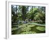 Jardin Majorelle, Marrakech (Marrakesh), Morocco, North Africa, Africa-Simon Harris-Framed Photographic Print