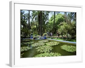 Jardin Majorelle, Marrakech (Marrakesh), Morocco, North Africa, Africa-Simon Harris-Framed Photographic Print