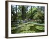 Jardin Majorelle, Marrakech (Marrakesh), Morocco, North Africa, Africa-Simon Harris-Framed Photographic Print