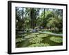 Jardin Majorelle, Marrakech (Marrakesh), Morocco, North Africa, Africa-Simon Harris-Framed Photographic Print