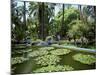 Jardin Majorelle, Marrakech (Marrakesh), Morocco, North Africa, Africa-Simon Harris-Mounted Photographic Print