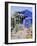 Jardin Majorelle, Marrakech (Marrakesh), Morocco, North Africa, Africa-Bruno Morandi-Framed Photographic Print