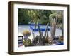 Jardin Majorelle, Marrakech (Marrakesh), Morocco, North Africa, Africa-Bruno Morandi-Framed Photographic Print