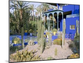 Jardin Majorelle, Marrakech (Marrakesh), Morocco, North Africa, Africa-Bruno Morandi-Mounted Photographic Print