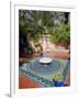 Jardin Majorelle, Marrakech, Morocco, North Africa, Africa-Ethel Davies-Framed Photographic Print