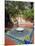 Jardin Majorelle, Marrakech, Morocco, North Africa, Africa-Ethel Davies-Mounted Photographic Print