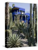Jardin Majorelle, Marrakech, Morocco, North Africa, Africa-Ethel Davies-Stretched Canvas