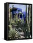 Jardin Majorelle, Marrakech, Morocco, North Africa, Africa-Ethel Davies-Framed Stretched Canvas