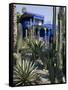 Jardin Majorelle, Marrakech, Morocco, North Africa, Africa-Ethel Davies-Framed Stretched Canvas