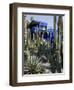 Jardin Majorelle, Marrakech, Morocco, North Africa, Africa-Ethel Davies-Framed Photographic Print