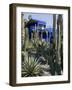 Jardin Majorelle, Marrakech, Morocco, North Africa, Africa-Ethel Davies-Framed Photographic Print