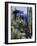 Jardin Majorelle, Marrakech, Morocco, North Africa, Africa-Ethel Davies-Framed Photographic Print