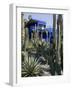 Jardin Majorelle, Marrakech, Morocco, North Africa, Africa-Ethel Davies-Framed Photographic Print