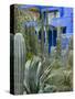 Jardin Majorelle, Marrakech, Morocco, North Africa, Africa-Nico Tondini-Stretched Canvas
