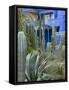 Jardin Majorelle, Marrakech, Morocco, North Africa, Africa-Nico Tondini-Framed Stretched Canvas