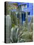 Jardin Majorelle, Marrakech, Morocco, North Africa, Africa-Nico Tondini-Stretched Canvas